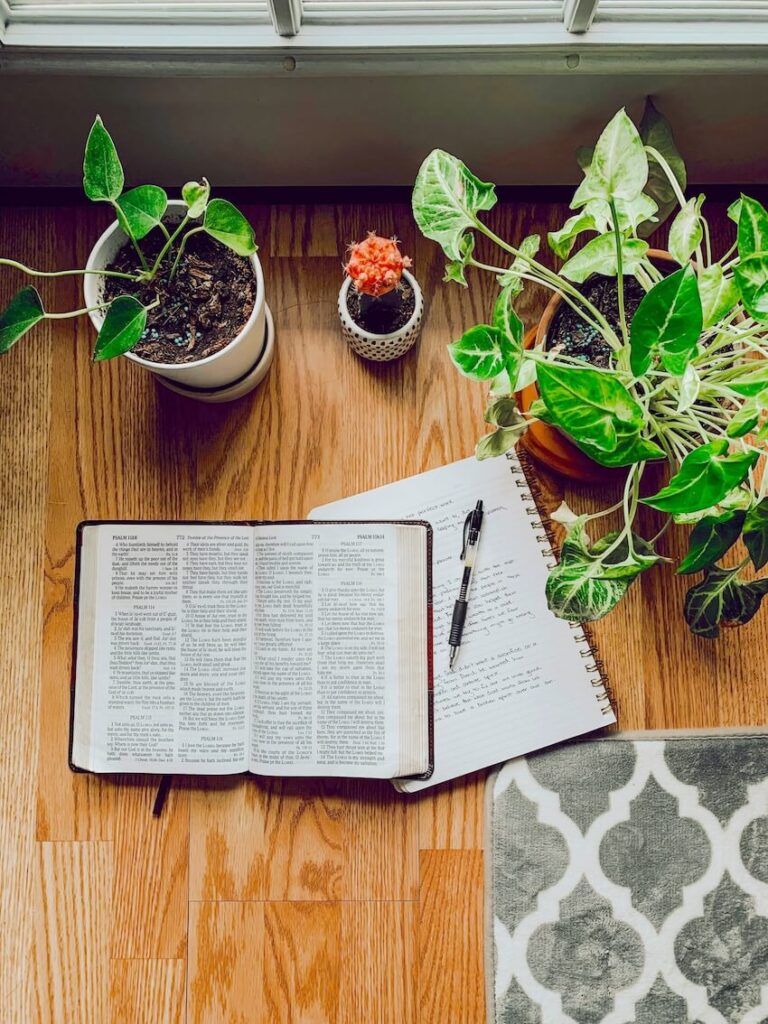 An open English dictionary and a study journal with a pen surrounded by potted plants on a wooden surface.